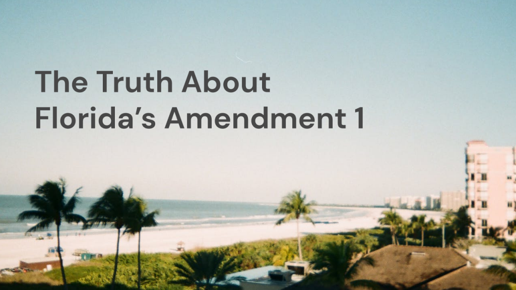 The Truth About Florida's Amendment One