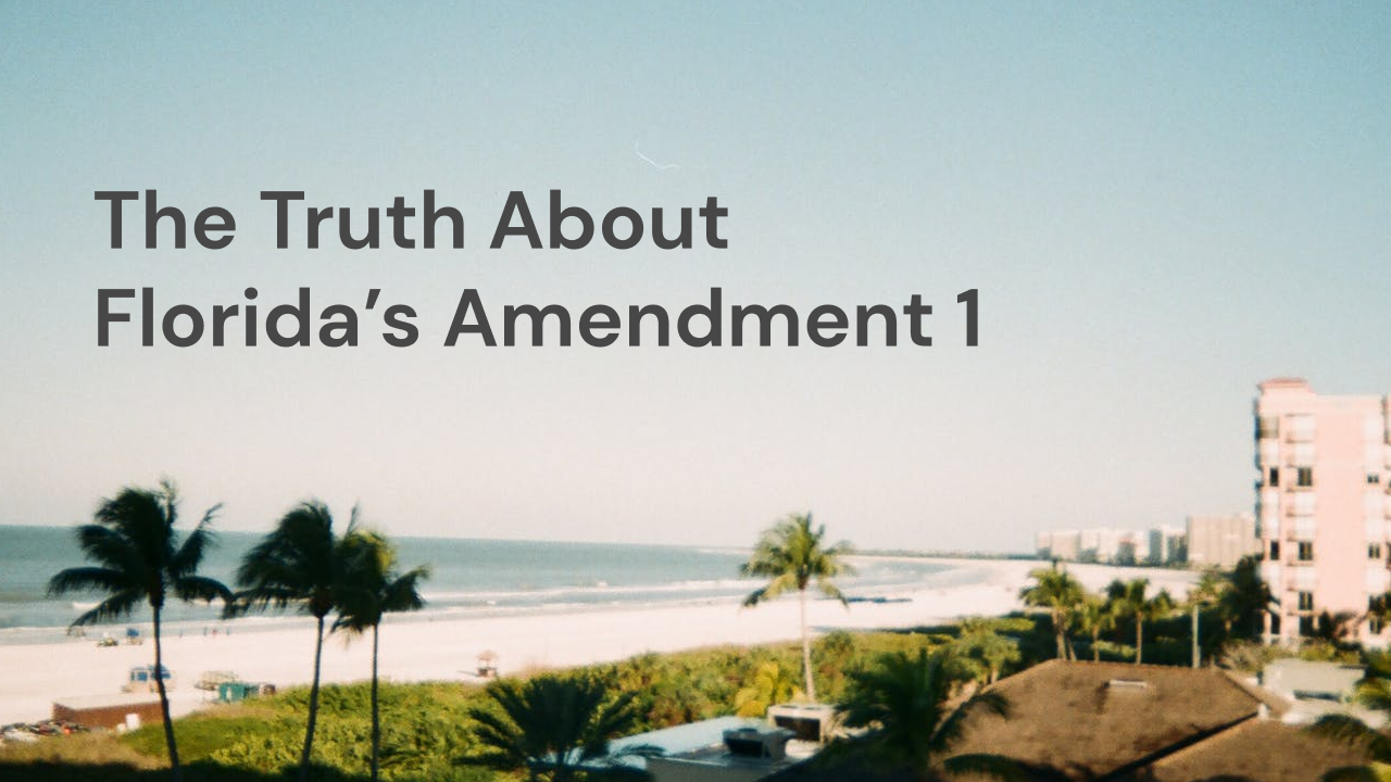 Florida Amendment 4 Text 2024 Text Erna Odette