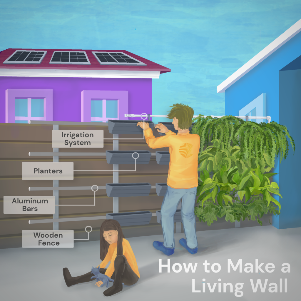 how to make a living wall infographic