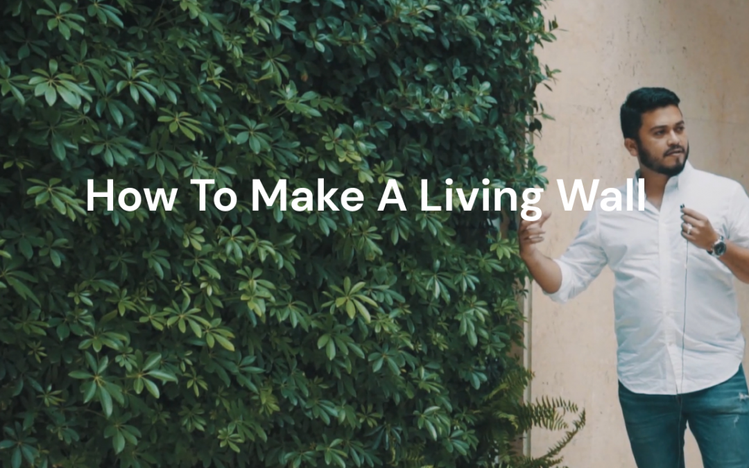 How to Make a Living Wall