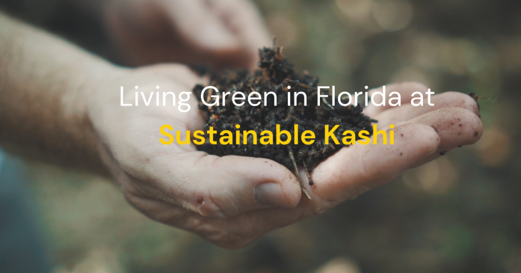 handful of compost living green at sustainable kashi