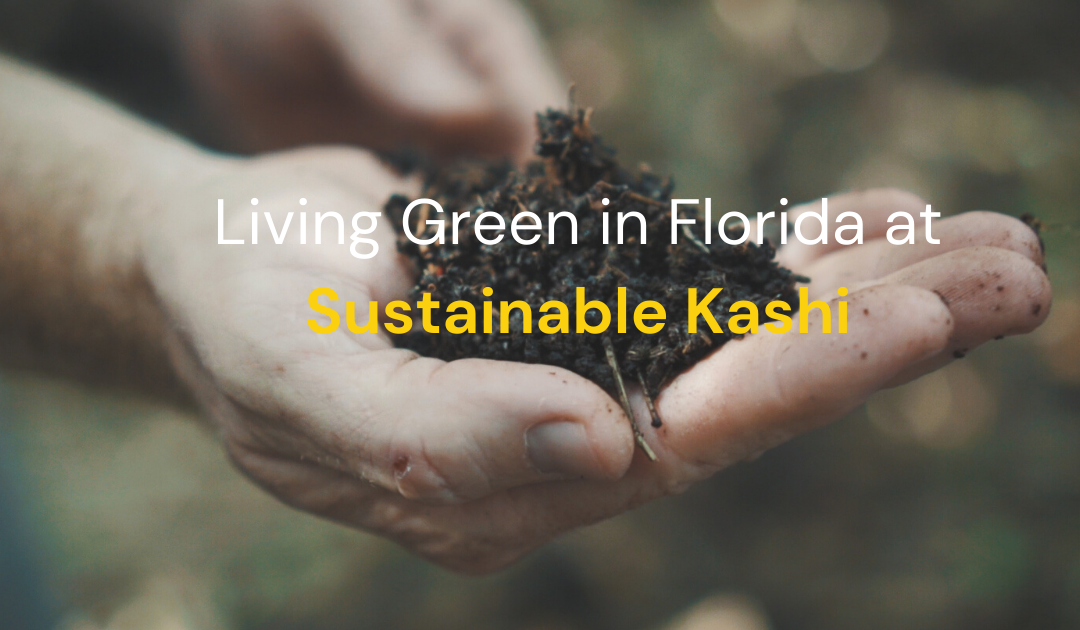 Living Green in Florida at Sustainable Kashi