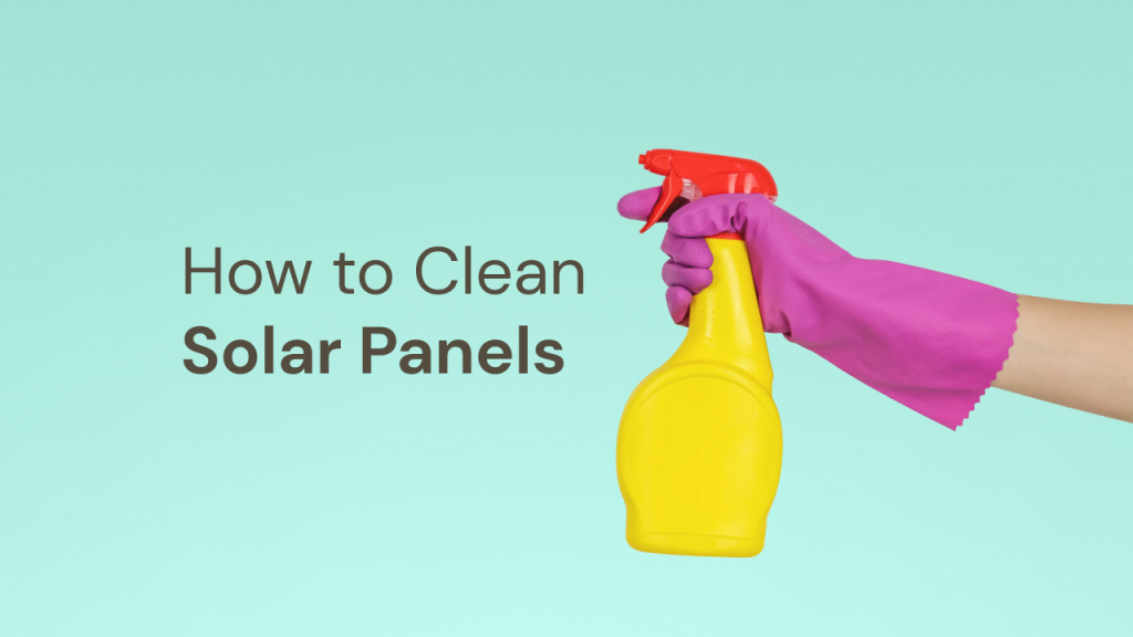 how to clean solar panels photo