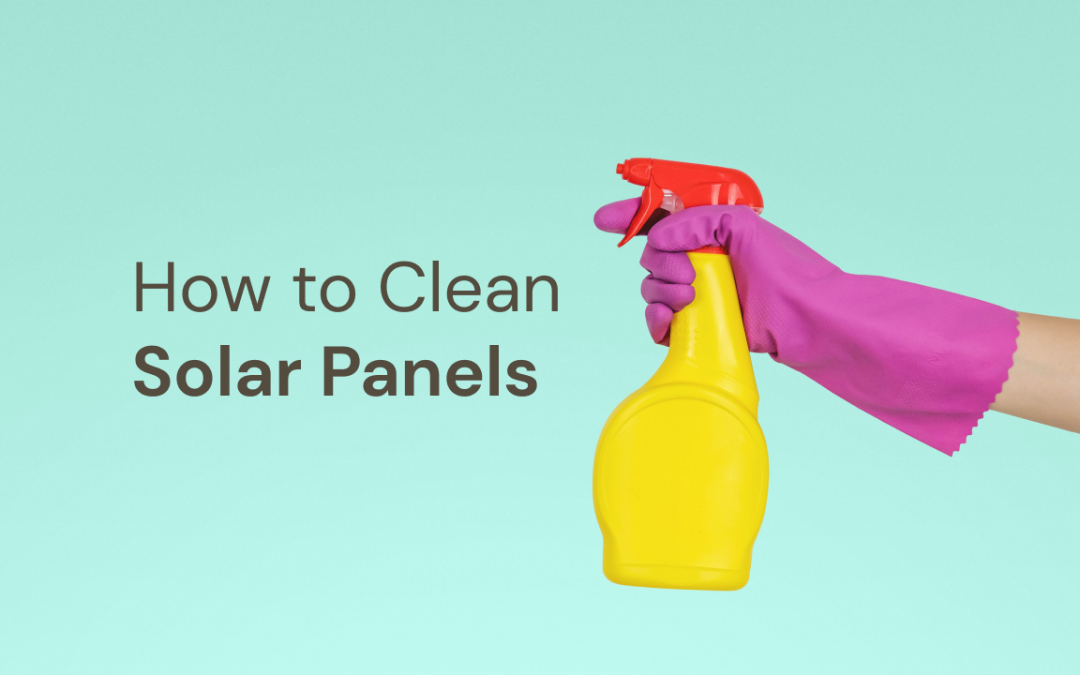 How to Clean Solar Panels in Florida